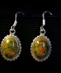 Sterling Silver Earrings ER17