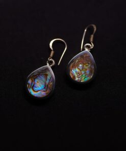 Sterling Silver Earrings ER56